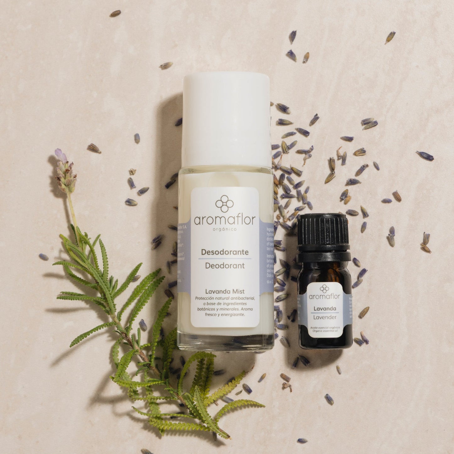 Regenerative Kit