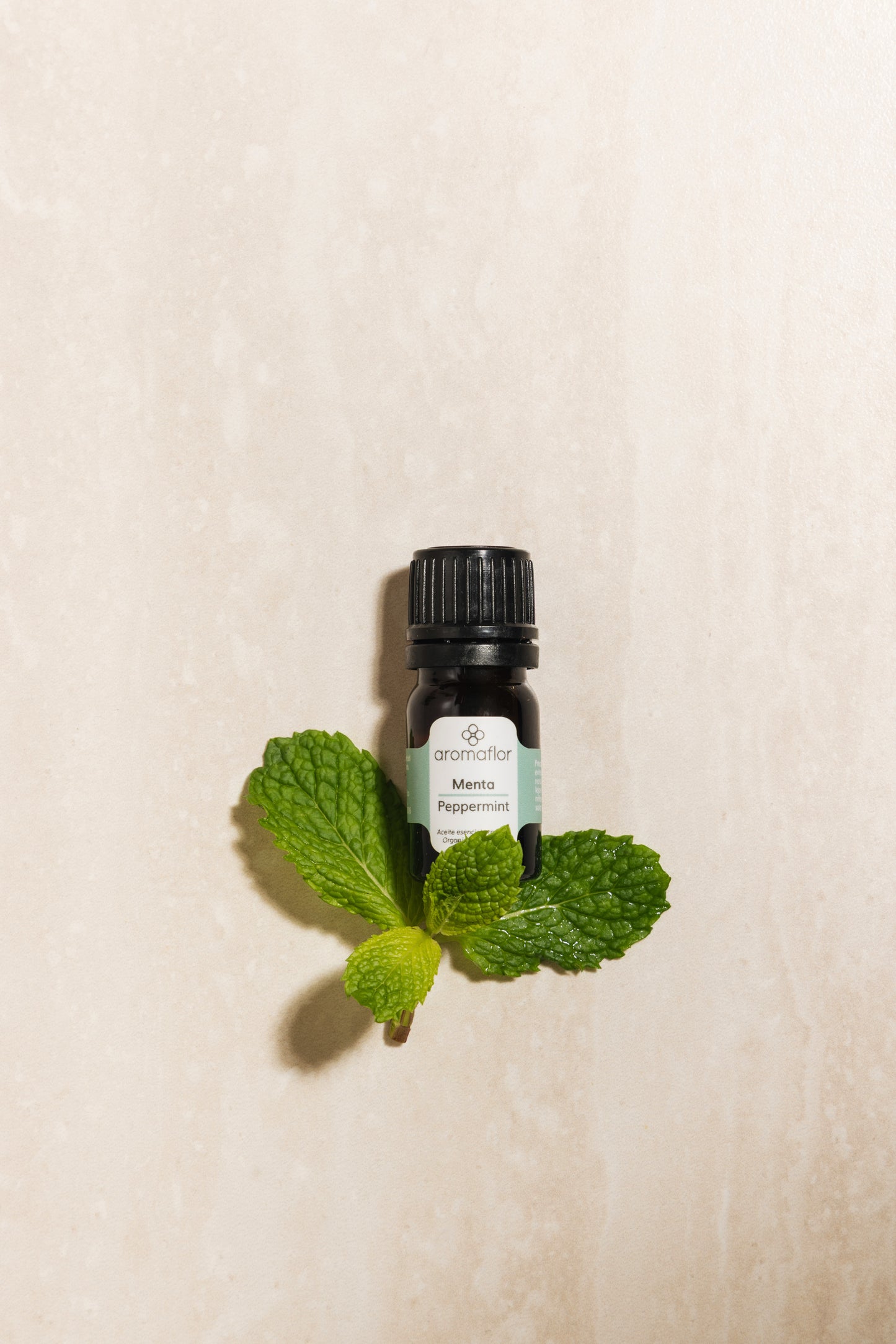 Menta