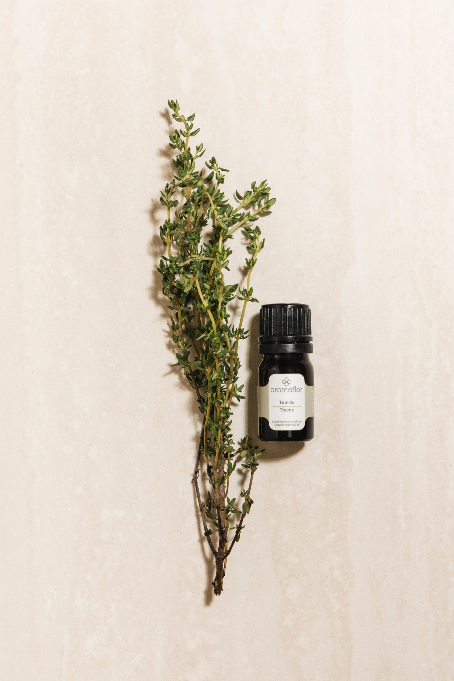 Tomillo